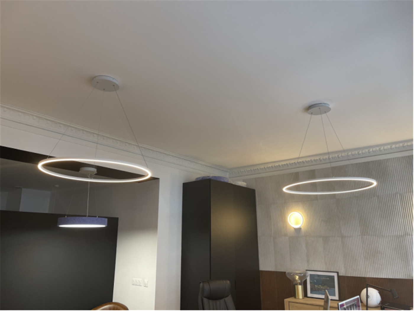 20mm width Ring LED light with diameter 600mm OLA20SL60-01 (17)