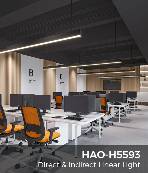 H5593-Features