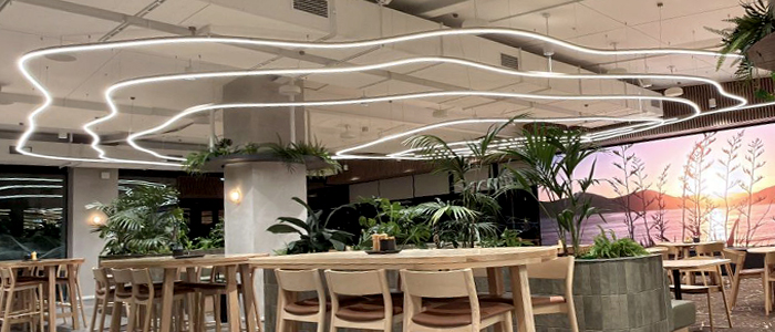 NZ-Headoffice-Café-CLOUD-Linear-Light-02